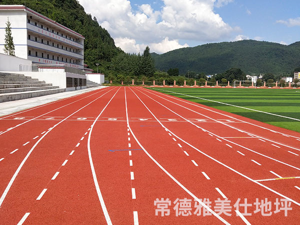 銅仁中學(xué)塑膠跑道、草坪